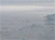 Penguins on the ice - zoom